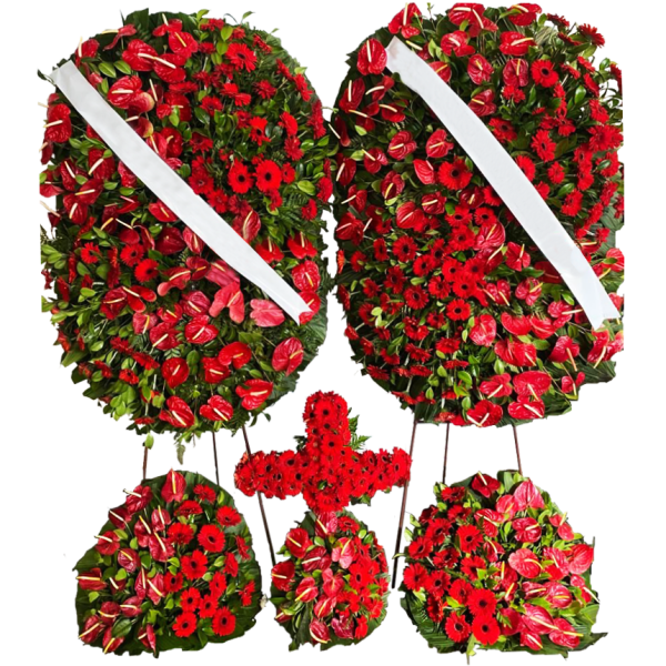 U - Conjunto Flores Nobres