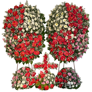 V - Conjunto Flores Nobres