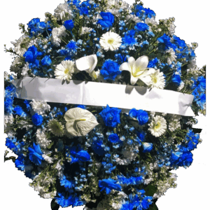 U - Coroa Flores Azuis