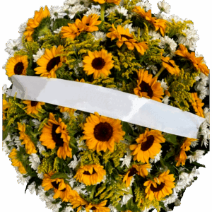 V - Coroa Flores Girassol