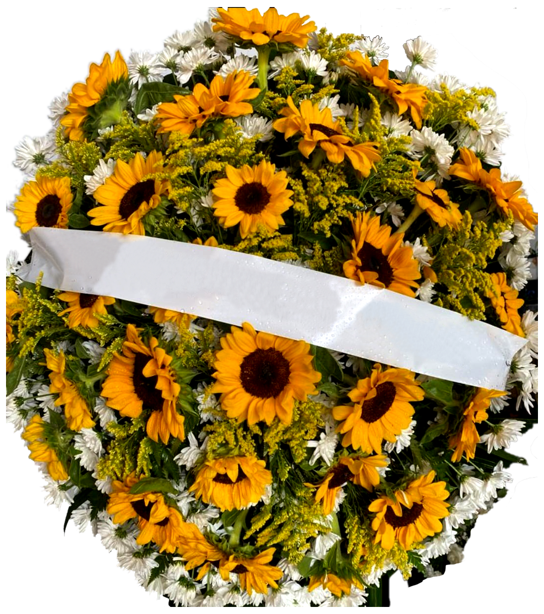 V - Coroa Flores Girassol