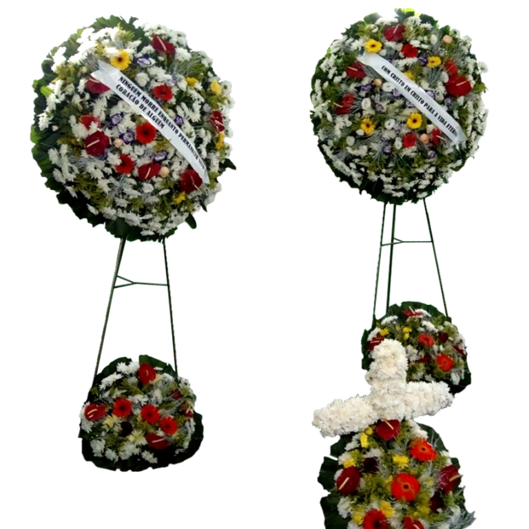 conjunto_especial-768x768