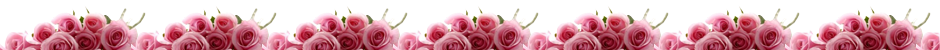 Floricultura Romance Flores
